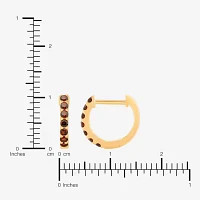 Genuine Red Garnet 14K Gold Over Silver 10.3mm Round Hoop Earrings