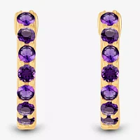 Genuine Purple Amethyst 14K Gold Over Silver 10.3mm Round Hoop Earrings