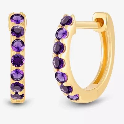 Genuine Purple Amethyst 14K Gold Over Silver 10.3mm Round Hoop Earrings