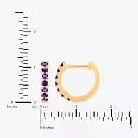 Genuine Purple Amethyst 14K Gold Over Silver 10.3mm Round Hoop Earrings