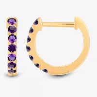 Genuine Purple Amethyst 14K Gold Over Silver 10.3mm Round Hoop Earrings