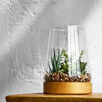 Linden Street 7in Mixed Succulent Terrarium Artificial Plant