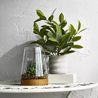 Linden Street 7in Mixed Succulent Terrarium Artificial Plant