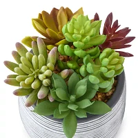 Linden Street 6in Mixed Succulent Artificial Plant