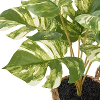 Linden Street 20in Varigated Monstera Artificial Plant