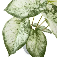 Linden Street 16.5in White Philodendron Artificial Plant