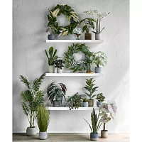 Linden Street 22.25in Snake Artificial Plant