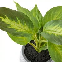 Linden Street 10in Golden Pothos Artificial Plant