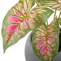Linden Street 12in Pink Caladium Artificial Plant