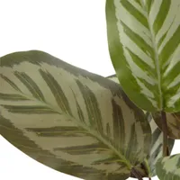 Distant Lands 14" Prayer Artificial Plant