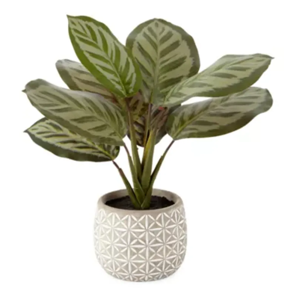 Distant Lands 14" Prayer Artificial Plant