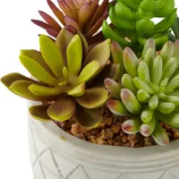 Linden Street Small Potted Succulent Artificial Plant