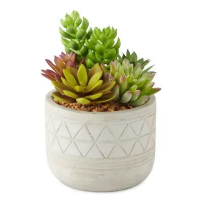 Linden Street Small Potted Succulent Artificial Plant