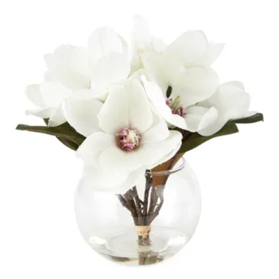 Linden Street 8" White Magnolia Floral Arrangement