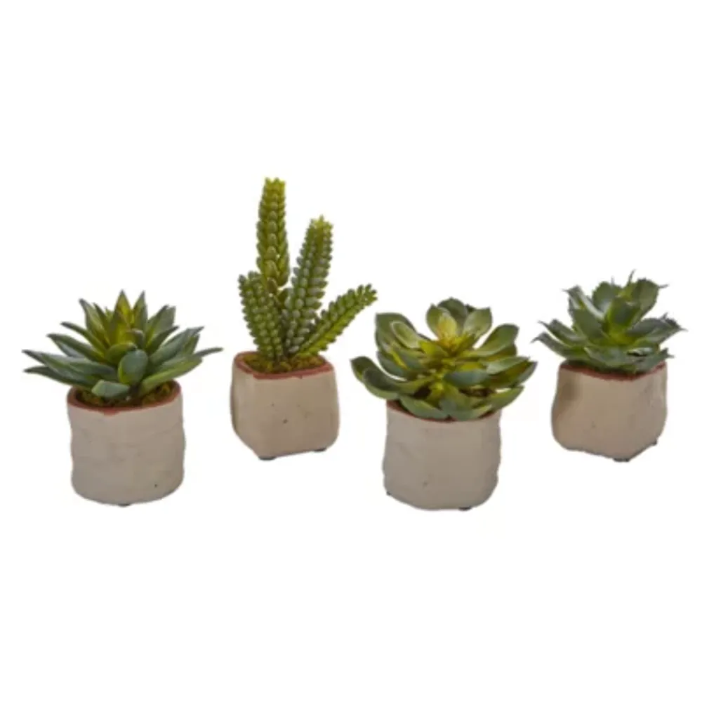 Mixed Succulent Artificial Plant (Set of 4)