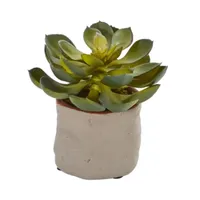 Mixed Succulent Artificial Plant (Set of 4)