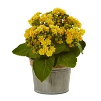 Kalanchoe Artificial Arrangements (Set of 3)