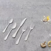 Oneida Flight 45-pc. Flatware Set