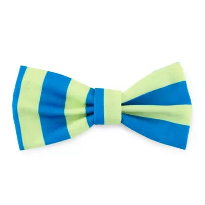 Paw & Tail Blue And Green Striped Dog Bowtie