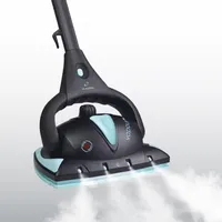 Euroflex Floor Steam Cleaners