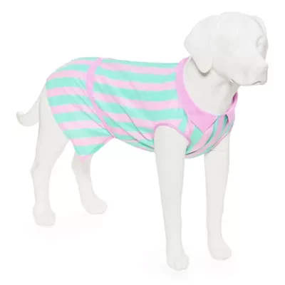 Paw & Tail Pink And Blue Striped Dog Pet Dresses