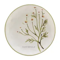 Certified International Fresh Herbs 4-pc. Earthenware Salad Plate