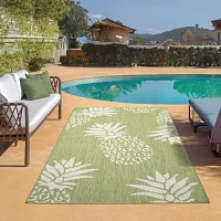 Catherine Pineapples Indoor Outdoor Rectangular Area Rug