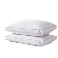 Martha Stewart Standard/Queen Feather Pillow - 2 Pack