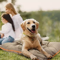 Precious Tails 35" Khaki Orange Waterproof Pet Beds