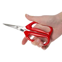 Joyce Chen Scissor and Cutting Board Set