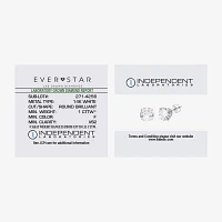 Everstar (G / Vs2) 1 CT. T.W. Lab Grown White Diamond 14K Gold 5.2mm Round Stud Earrings