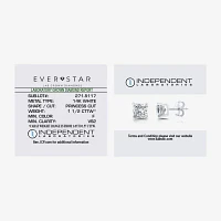 Ever Star (F / Vs2) 1 1/2 CT. T.W. Lab Grown White Diamond 14K White Gold Stud Earrings