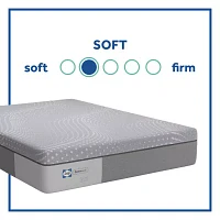 Sealy Lacey 13" Foam Plush Tight Top - Mattress a Box