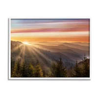 Stupell Industries Sunrise Through Mountain Forest Framed Print