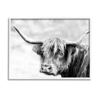 Stupell Industries Bold Country Cattle Photography Framed Print