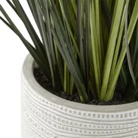 Distant Lands 16" Potted Grass Artificial Plant