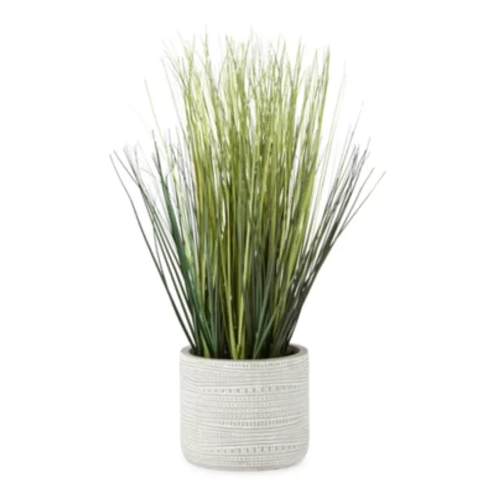 Distant Lands 16" Potted Grass Artificial Plant