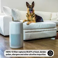 Instant® AP300 Home Purification System