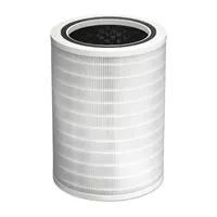 Clorox Large Room Replacment Air Filter