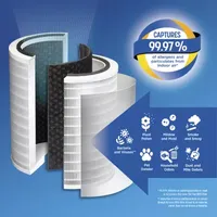 Clorox Large Room Replacment Air Filter