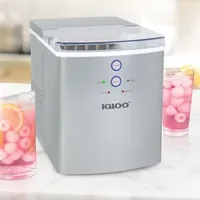 Igloo 33 Lb Ice Maker