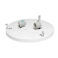 All the Rages Gold Two Light Round Flush Mount Lighting