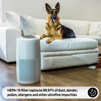 Instant® AP300 Home Purification System
