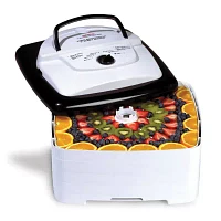 Nesco Square Dehydrator & Jerky Maker