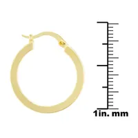 Silver Reflections 24K Gold Over Brass Hoop Earrings