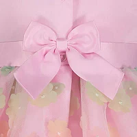 Blueberi Boulevard Toddler Girls Sleeveless Flower Girl A-Line Dress