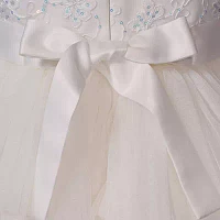 Bonnie Jean Big Girls Sleeveless Flower Girl Fit + Flare Dress