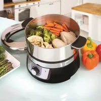 Euro Cuisine Stainless Steel Electric Food Steamer