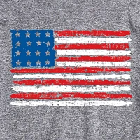 Mens Short Sleeve Americana Graphic T-Shirt