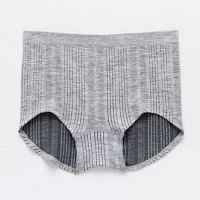 Arizona Body Seamless Boyshort Panty